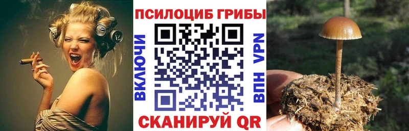 Галлюциногенные грибы мухоморы Кизляр